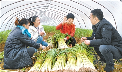 图为安徽省亳州市谯城区纪委监委第一协作区干部近日在五马镇五马村向群众了解有关问题线索。